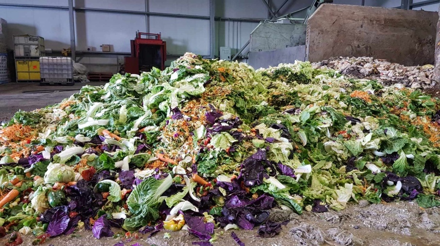 澳大利亚莫道克大学研究变废为宝助力可持续生产将食品垃圾转化为未来
